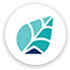 Cooleaf logo
